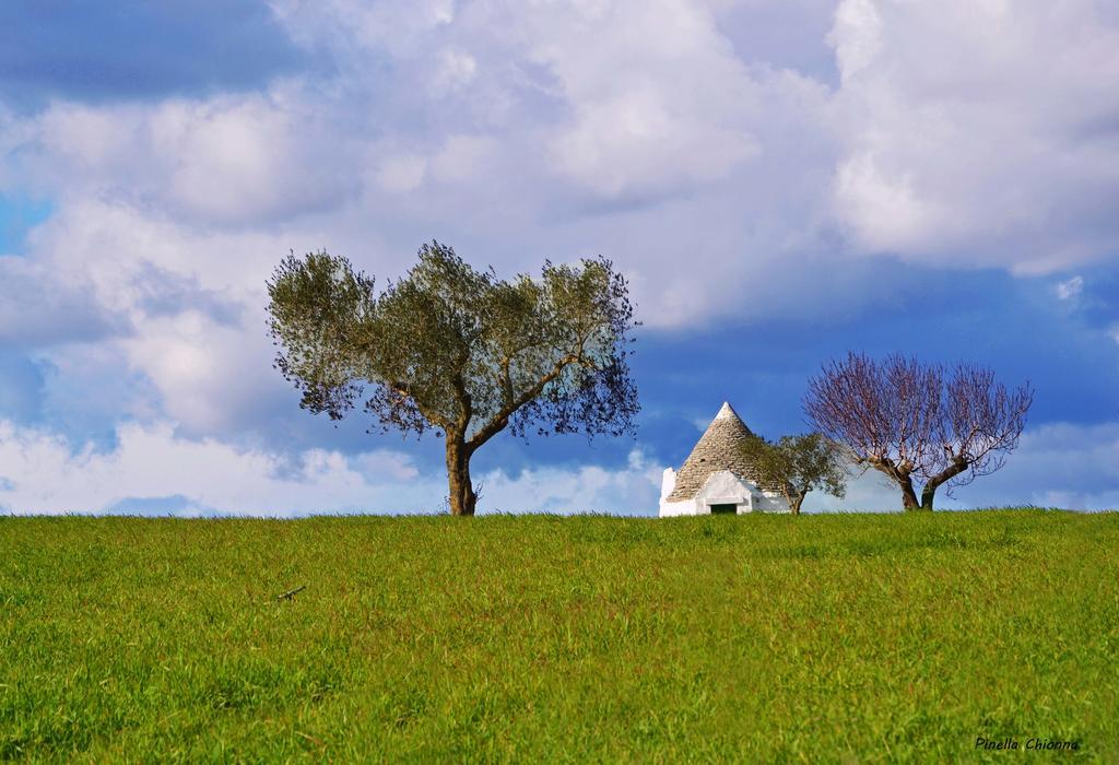 Albergo Masseria Refrigerio Ostuni Dış mekan fotoğraf